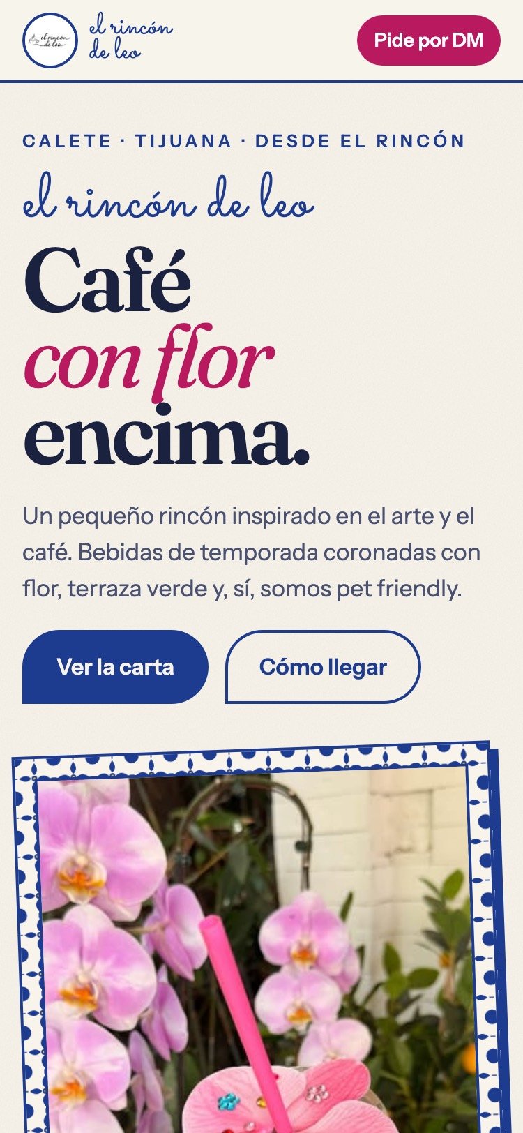 Sitio de El Rincón de Leo en celular