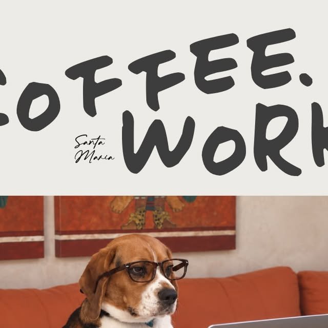 Perrito con lentes trabajando